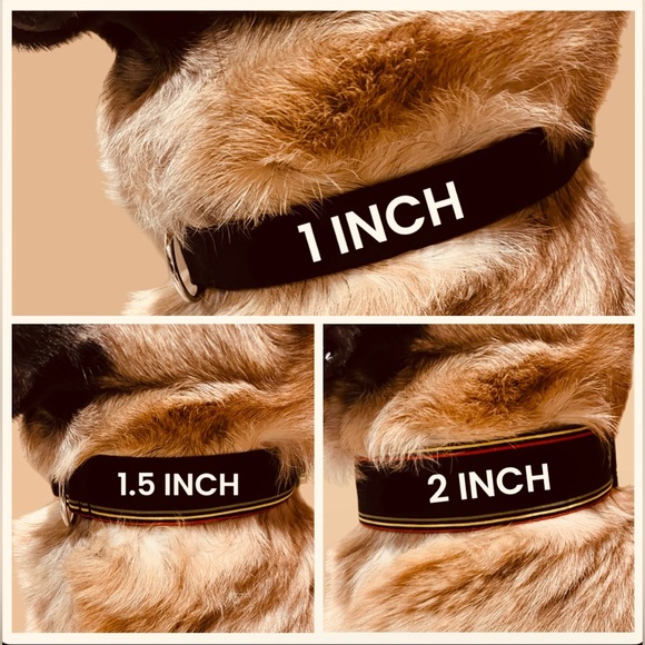 Dog Collar- Pink Leopard Print, Animal Print, Animal Print Dog Collar, Leopard - Picture 16 of 16